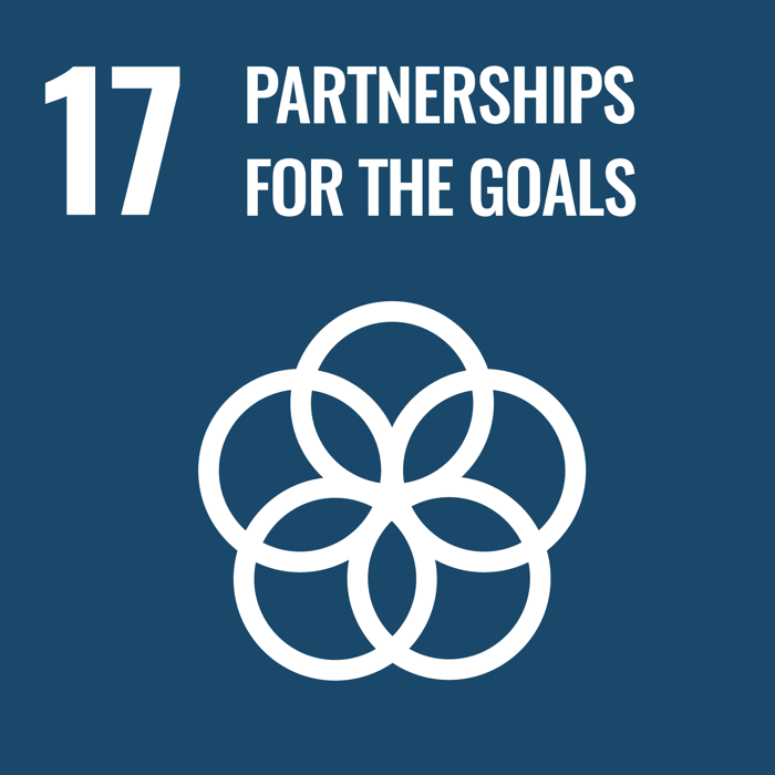 SDG_17